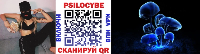 Псилоцибиновые грибы Cubensis Купить закладки Туран
