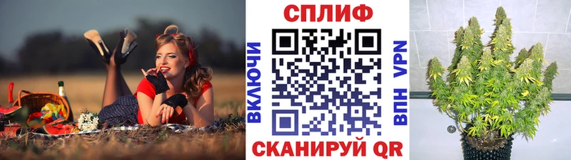 Конопля THC 21%  Купить где  Туран 